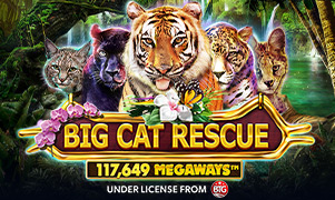123win44 Big Cat Rescue Megaways